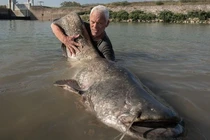  Đi câu cá, bất ngờ đụng trúng "thuỷ quái" nặng 104kg 