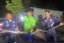 Kinh hãi phát hiện "quái thú" dài hơn 3m trong bánh xe ô tô