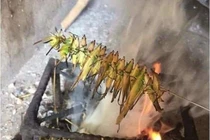 Loại côn trùng trước bay đầy đồng, giờ được rao bán giá 800 nghìn đồng/kg