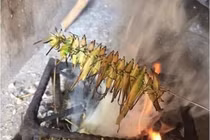 Loại côn trùng trước bay đầy đồng, giờ được rao bán giá 800 nghìn đồng/kg