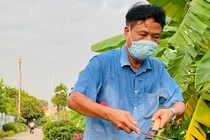 Bí thư Chi bộ thôn Trần Quang Huy: “Hô biến” đường có hoa, nhà có số