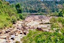 Hàng ngàn ha cây trồng “khát” nước ở nhiều tỉnh phía Nam