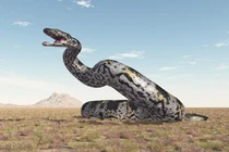 Phát hiện hoá thạch rắn khổng lồ 47 triệu năm gây kinh ngạc giới khảo cổ