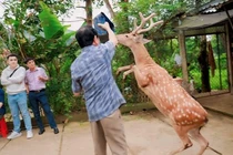 Loạt động vật kỳ lạ phát hiện ở Việt Nam