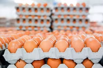 Những chính sách kinh tế nổi bật có hiệu lực từ tháng 2/2024