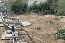 Vụ sập cầu treo Kẻ Nính ở Nghệ An: Thông tin mới nhất