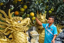 Cận cảnh chậu bưởi hình rồng giá trăm triệu đồng