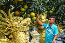 Cận cảnh chậu bưởi hình rồng giá trăm triệu đồng