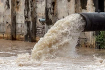 Vi phạm môi trường, Cty Nông sản Quốc tế Hiệp Phát bị phạt 408 triệu đồng