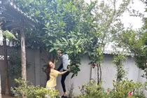 Cơ ngơi xanh mướt của vợ chồng ca sĩ Vy Oanh tại Đà Lạt