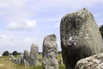 Bí ẩn "khu rừng tượng đá" xếp ngay ngắn, giới khoa học chưa thể giải mã