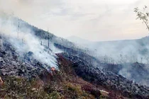  Bị phạt 90 triệu đồng vài đốt thực bì gây cháy rừng