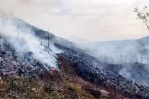  Bị phạt 90 triệu đồng vài đốt thực bì gây cháy rừng