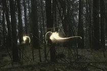 Bí ẩn hiện tượng "sét hòn" gây “xoắn não” cả chuyên gia 