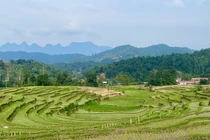 Ngôi làng cổ đẹp như tranh cổ tích ở Hà Giang