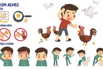 Nam sinh viên 21 tuổi mắc cúm A H5