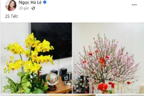 Góc nhỏ phòng khách đầy hoa tươi trong nhà NSND Công Lý ngày cận Tết