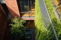 Ngôi nhà gạch đỏ lọt giữa lớp cây xanh mát khiến báo Mỹ nức nở khen