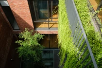 Ngôi nhà gạch đỏ lọt giữa lớp cây xanh mát khiến báo Mỹ nức nở khen