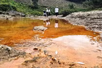 Nghệ An: Nước suối đổi màu, cá chết bất thường