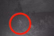 Xem lại ảnh cũ, bất ngờ thấy sinh vật bí ẩn nghi "quái vật" Bigfoot