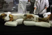 Xác ướp hoàn hảo “thiếu nữ băng giá” tìm thấy ở Nga gây kinh ngạc