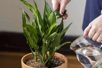 Nước thải điều hòa chớ bỏ đi, giữ lại dùng nhận được vô số lợi ích