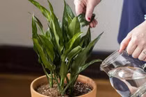 Nước thải điều hòa chớ bỏ đi, giữ lại dùng nhận được vô số lợi ích