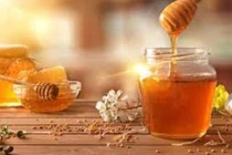 Nên uống mật ong vào thời điểm nào?