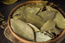 Đặt vài chiếc lá này trong nhà, đảm bảo gián không dám "bén mảng"