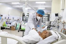 Ngừng tuần hoàn do lá ngón: Bác sĩ chỉ rõ lá ngón và cây thuốc, rau