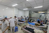 Bánh mì Thu Hà bị phạt 90 triệu, đình chỉ hoạt động vì gây ngộ độc