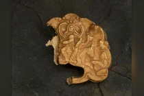 Mở mộ cổ 1.500 năm tuổi, phát hiện báu vật quý giá