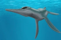 "Quái vật" 80 triệu tuổi có ngoại hình kỳ dị: Đầu cá sấu, mình cá heo