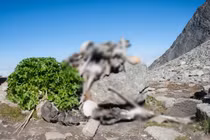 Bí ẩn “hồ xương người” đáng sợ nhất thế giới