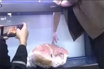 Vớt được tảng thịt khổng lồ, ai ngờ là "báu vật" giá nghìn tỷ đồng