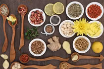 Bài thuốc đông y trị bệnh đường hô hấp 