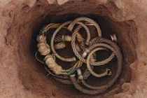 Cày ruộng, bất ngờ phát hiện kho báu chứa đầy vàng