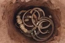 Cày ruộng, bất ngờ phát hiện kho báu chứa đầy vàng