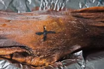 Bí ẩn hình xăm trên xác ướp hơn 5.000 tuổi