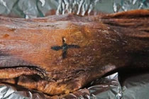 Bí ẩn hình xăm trên xác ướp hơn 5.000 tuổi