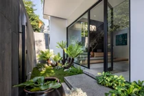 Ngắm ngôi nhà phố ngập sắc xanh ở Phú Thọ