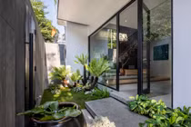 Ngắm ngôi nhà phố ngập sắc xanh ở Phú Thọ