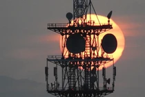 Điều thú vị về hiện tượng "gấu trúc hoàng hôn" kỳ thú tại Nhật Bản