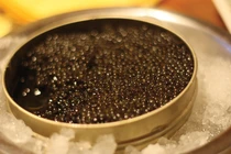 Vì sao trứng cá Caviar đắt đỏ bậc nhất hành tinh? 