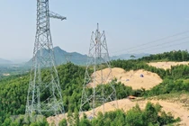 Hà Tĩnh chuyển đổi gần 22ha rừng làm Dự án Đường dây 500kV Quảng Trạch-Quỳnh Lưu