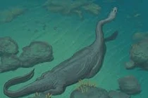 Lộ diện "quái vật biển" hoàn toàn mới, giới khoa học bối rối