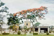 Loạt ảnh đặc biệt về Cố đô Huế năm 1963