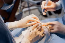 Lý do Công ty TNHH Quốc tế Sonia bị đình chỉ hoạt động