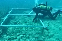 Khám phá con đường đá gần 7.000 tuổi "ngủ vùi" dưới đáy biển